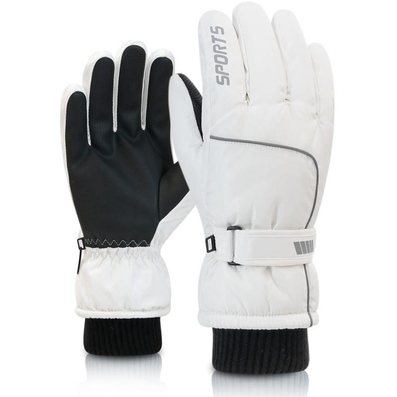 Men's AND WOMEN'S Professional - огляд і ціна Ski Glove Waterproof